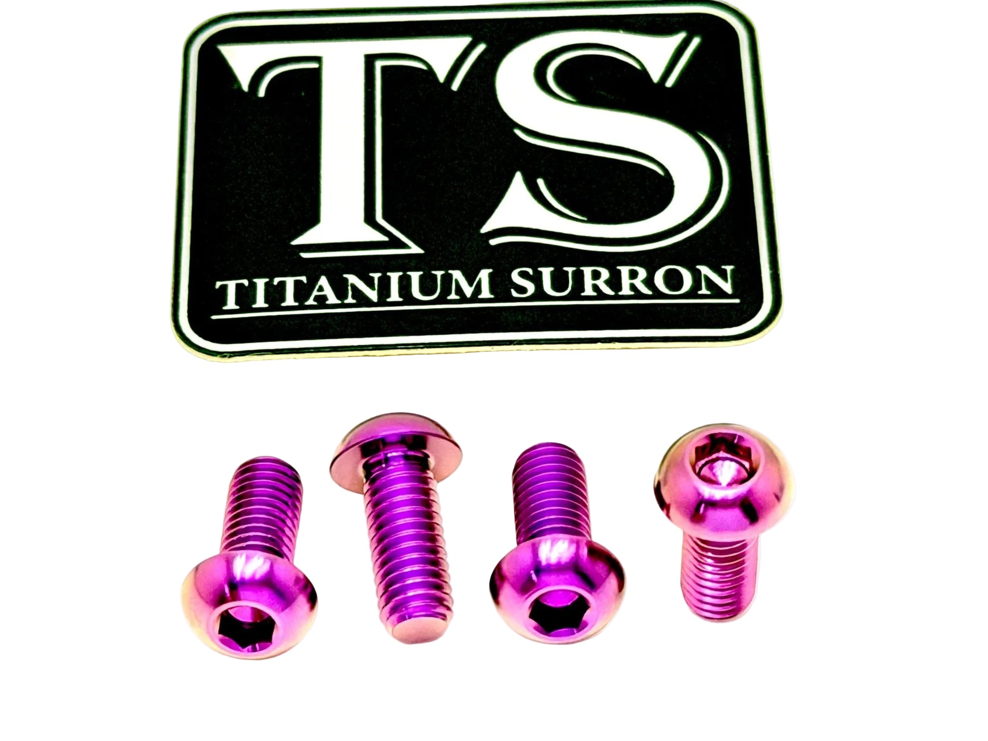 Titanium Bash Guard/ Skid Plate Bolts - E - moto