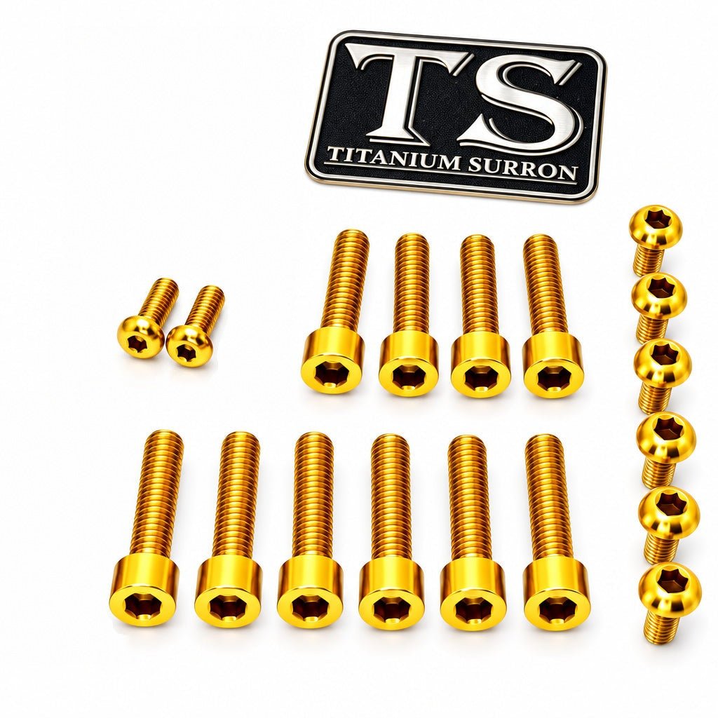 Titanium Bolt Kit for OEM Forks - Surron Light Bee 2 (LBX2)