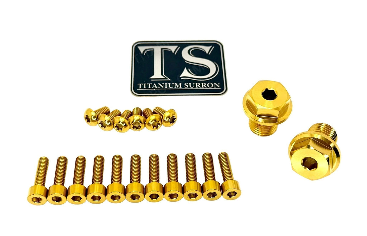 Titanium FastAce Fork Bolt Kits (All Models)