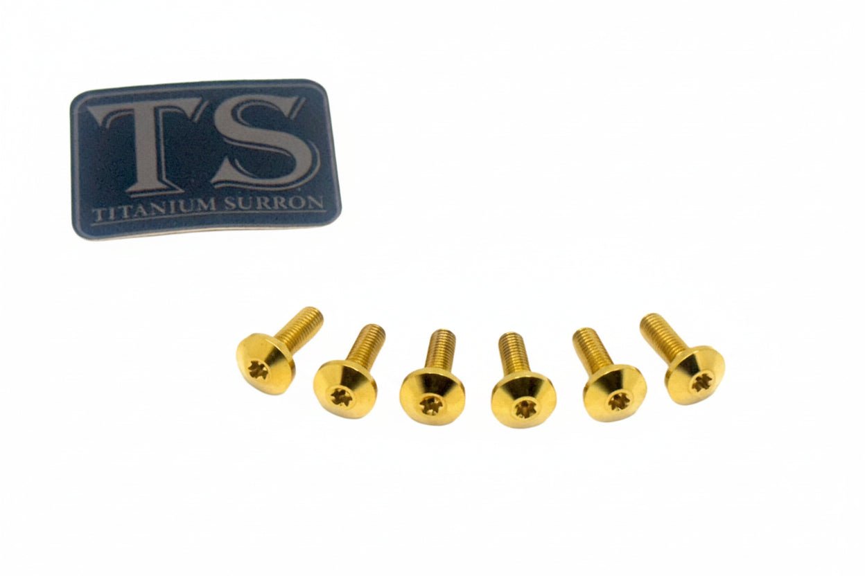 Titanium Front Rotor Bolts - E - Moto
