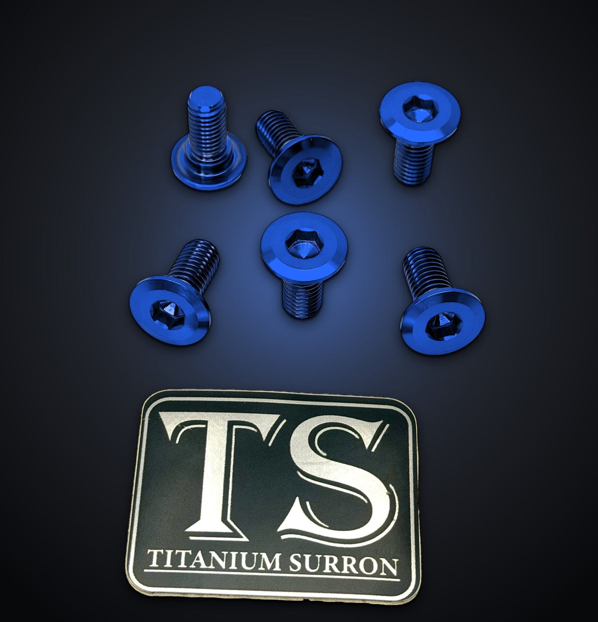 Titanium Front Rotor Bolts for E-Ride Pro Mini