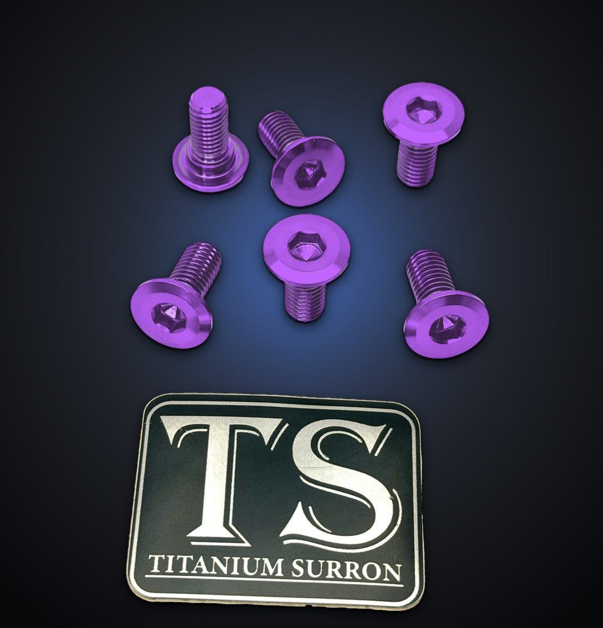 Titanium Front Rotor Bolts for E-Ride Pro Mini