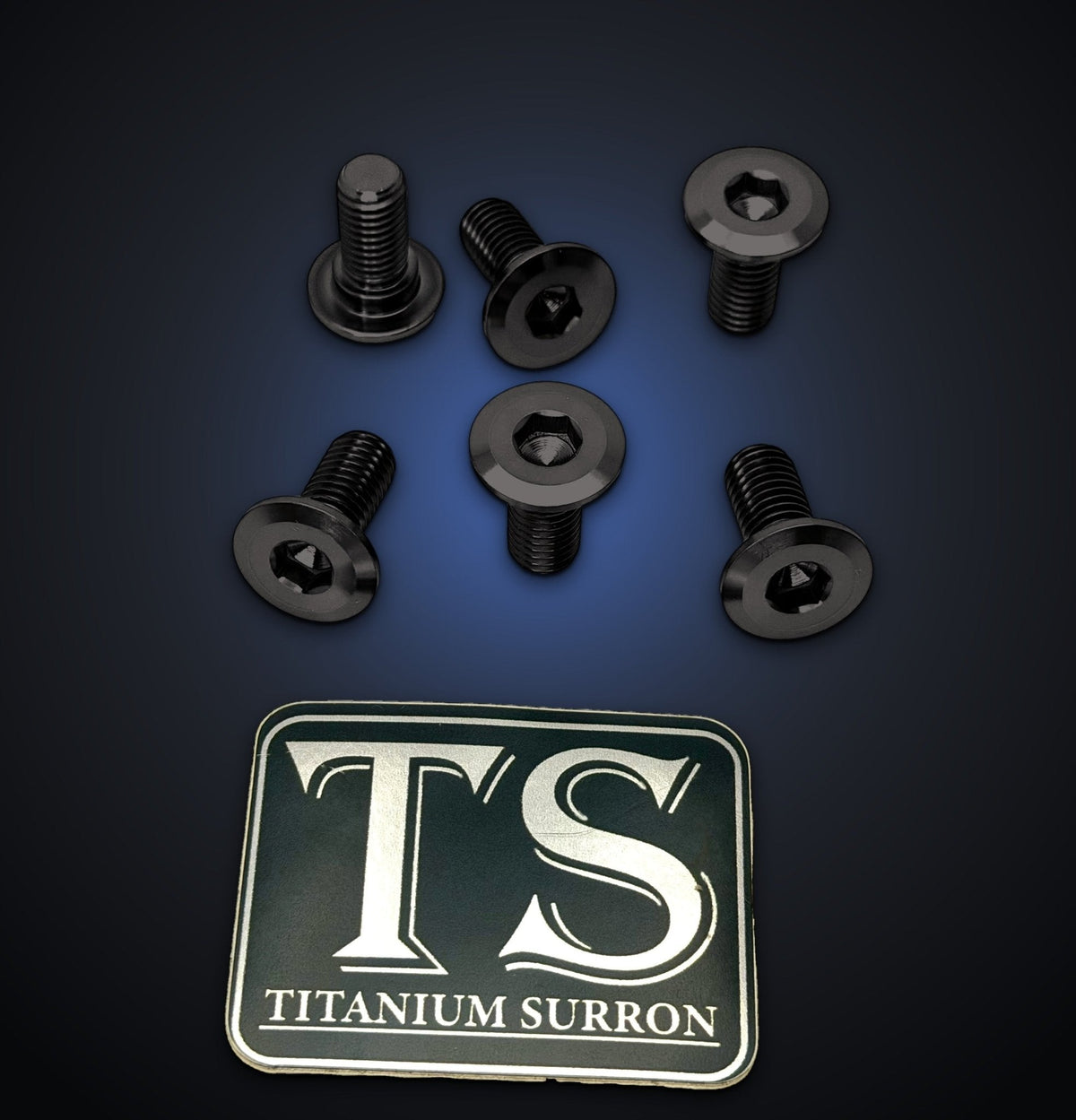 Titanium Front Rotor Bolts for E-Ride Pro Mini