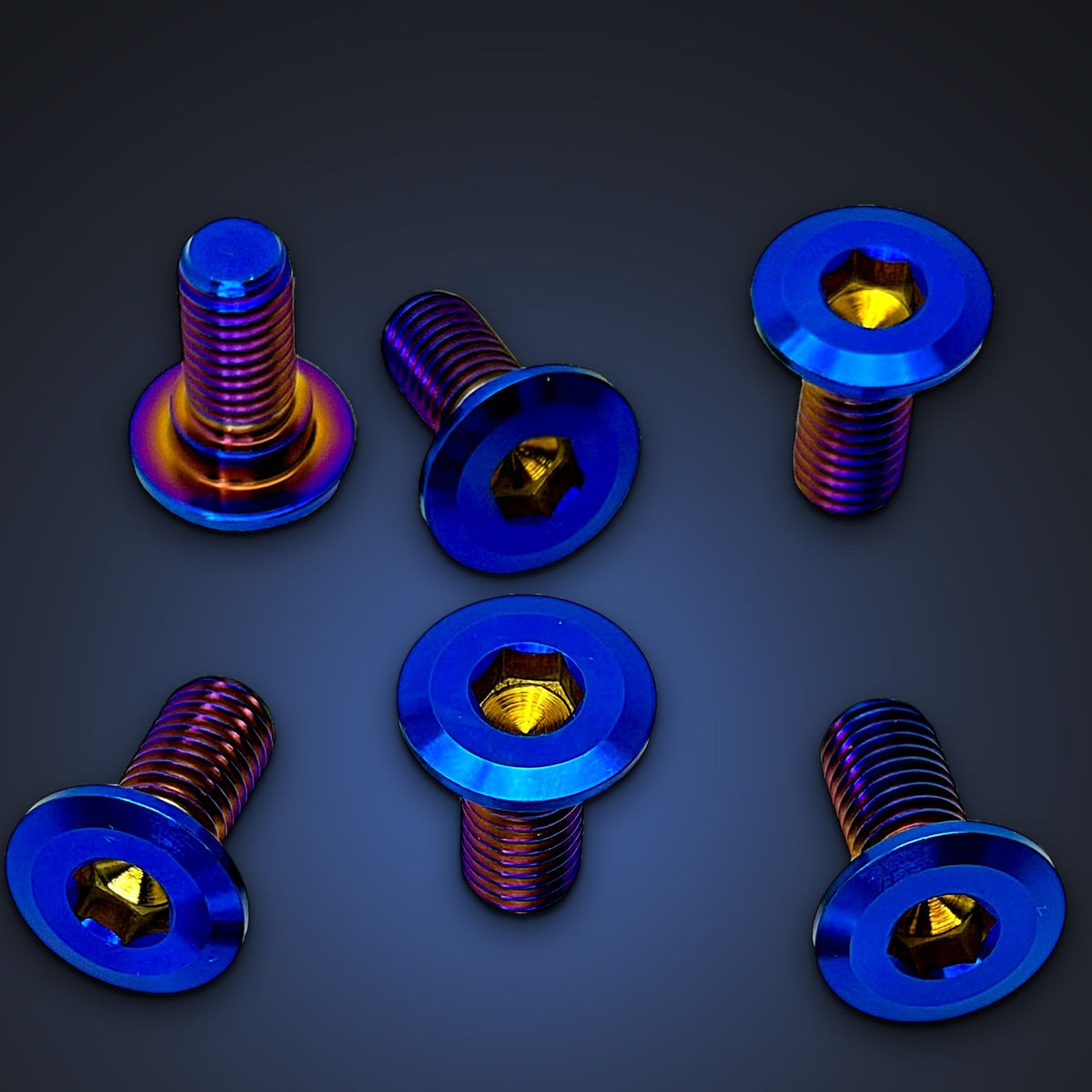 Titanium Front Rotor Bolts for E-Ride Pro Mini