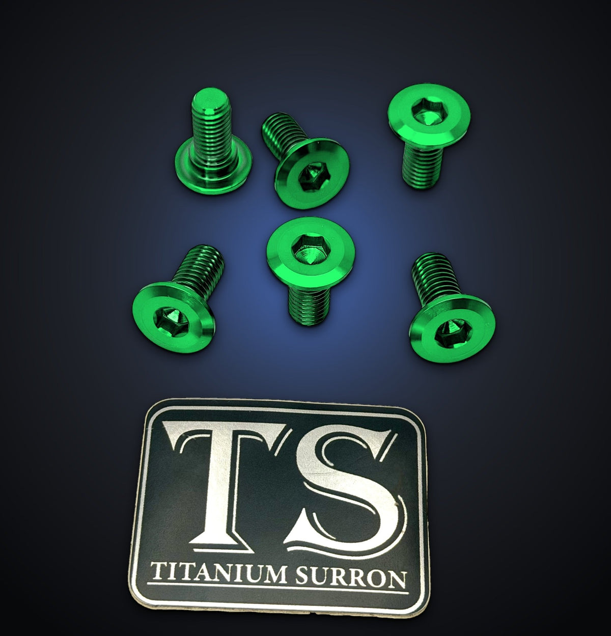 Titanium Front Rotor Bolts for Yozma IN10