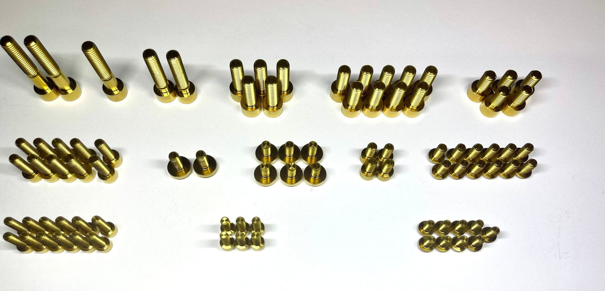 Gold Full Body Bolt Kits for the Surron light Bee and Segway X160 and X260