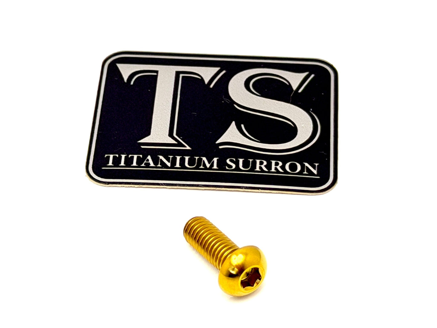 Titanium Hardware (Individual M6 Bolts and M6 Washers)