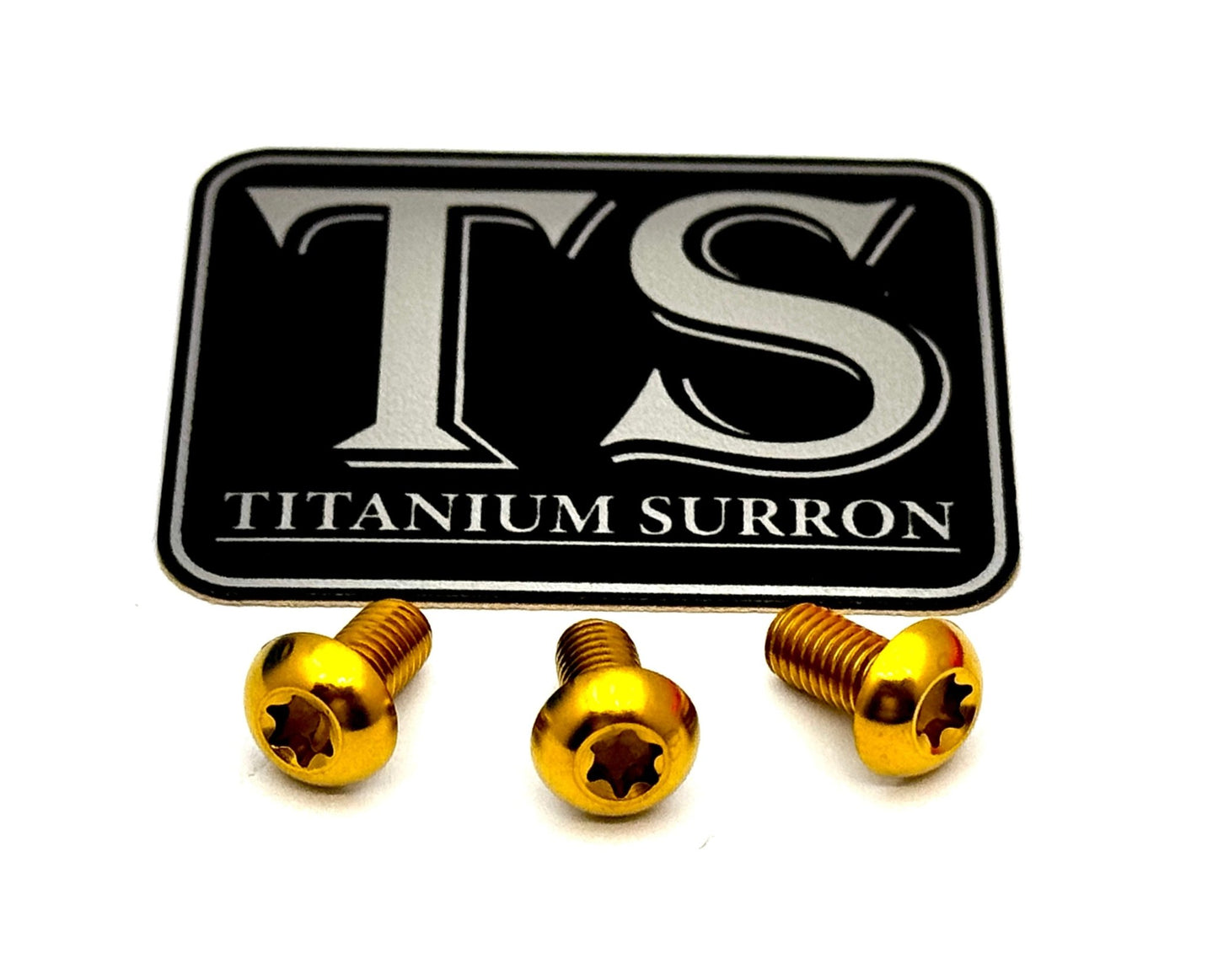 Titanium Ignition Cover Bolts Talaria MX3/MX4/XXX