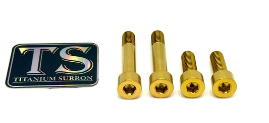 Titanium Motor Bolts - E - Ride Pro