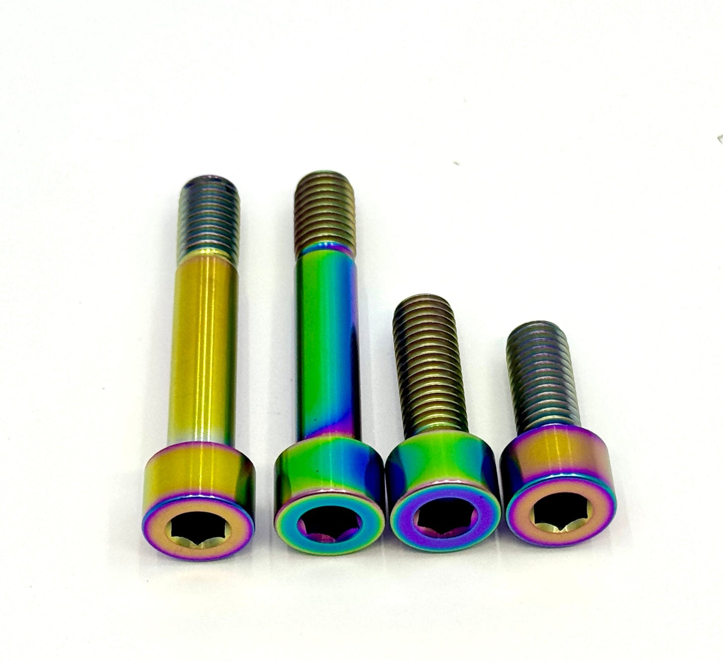 Titanium Motor Bolts - E - Ride Pro (all models)