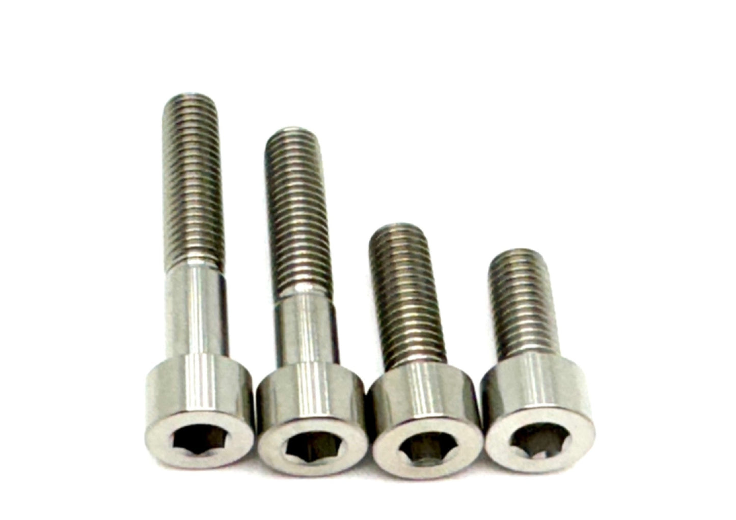 Titanium Motor Bolts - E - Ride Pro (all models)