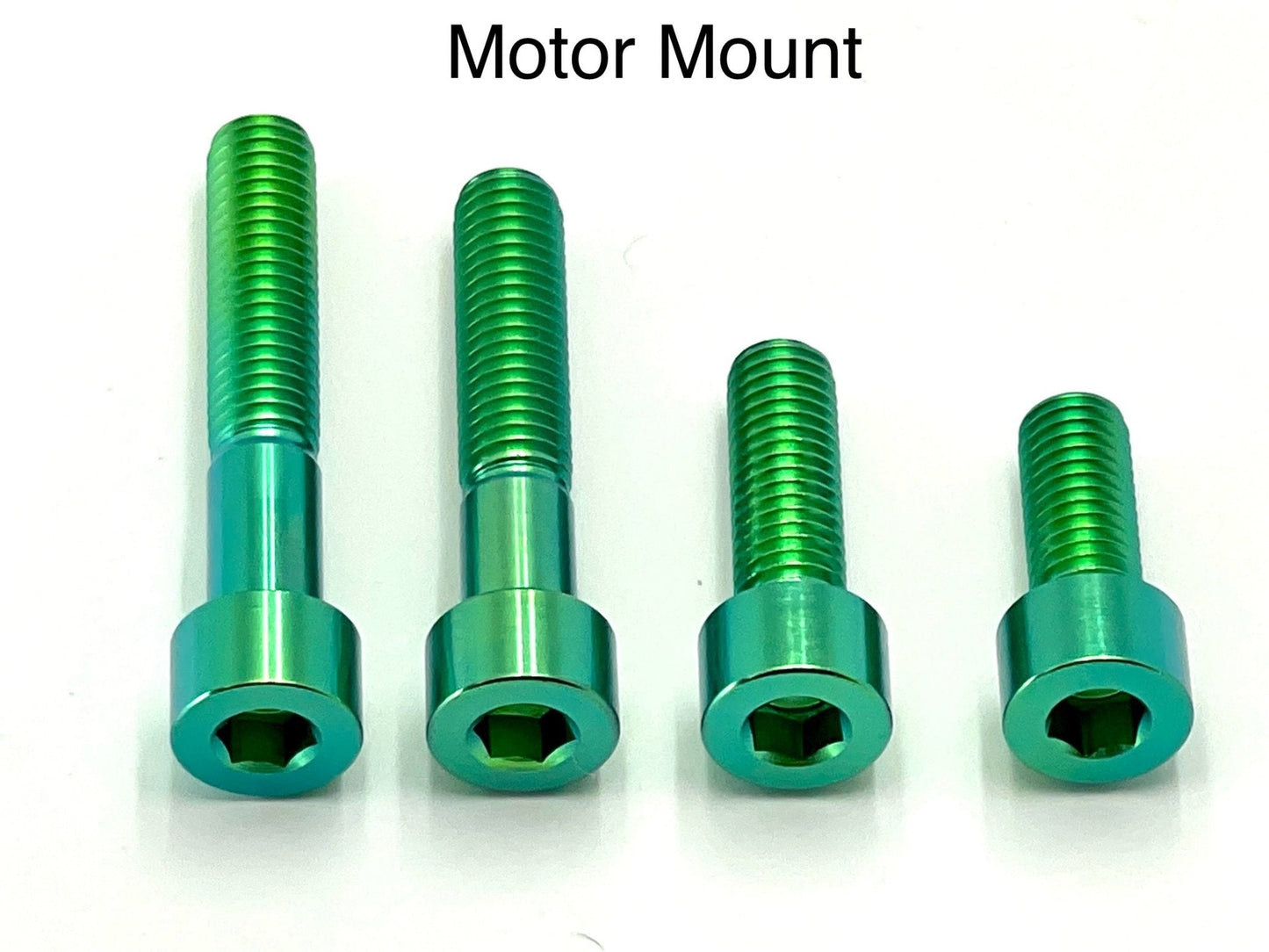Titanium Motor Bolts - E - Ride Pro (all models)