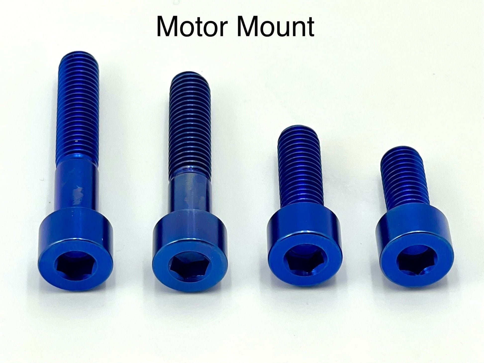 Titanium Motor Bolts - E - Ride Pro (all models)