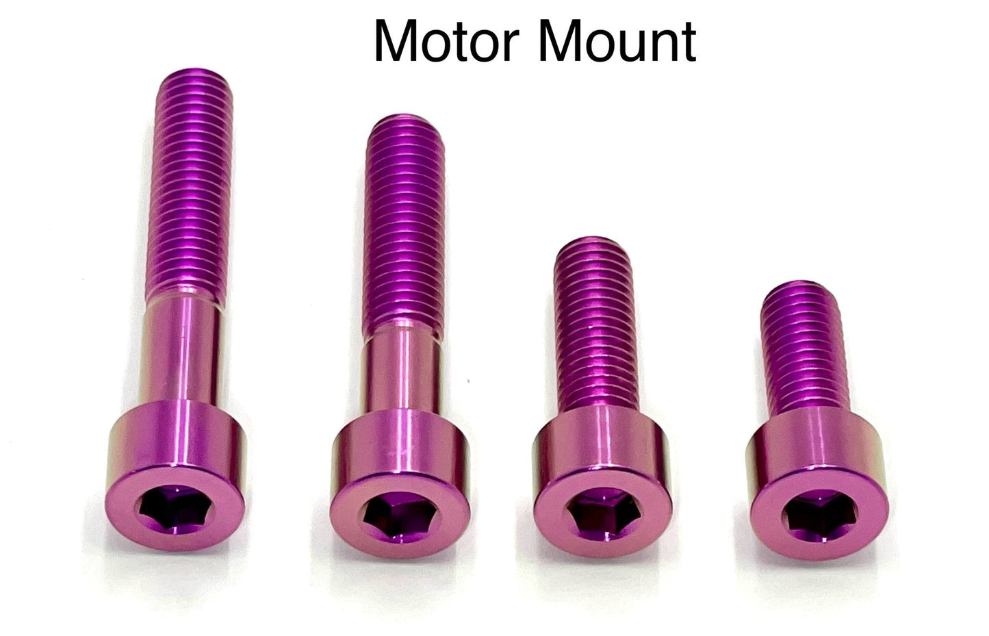 Titanium Motor Bolts - E - Ride Pro (all models)