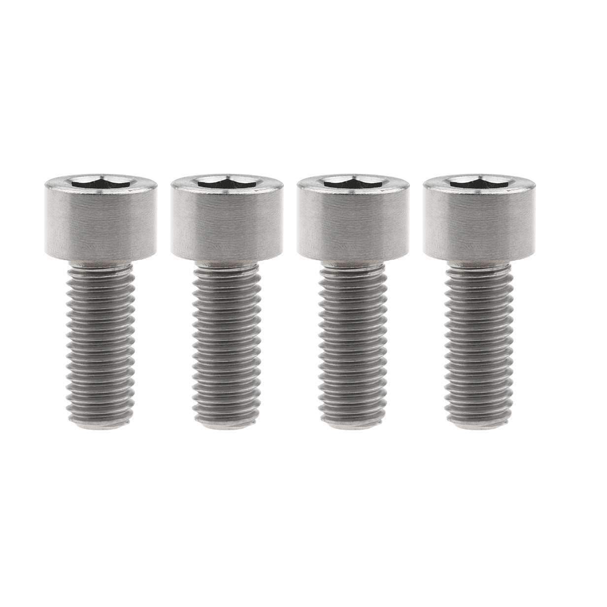 Titanium Motor Bolts - E - Ride Pro ERP SS and S