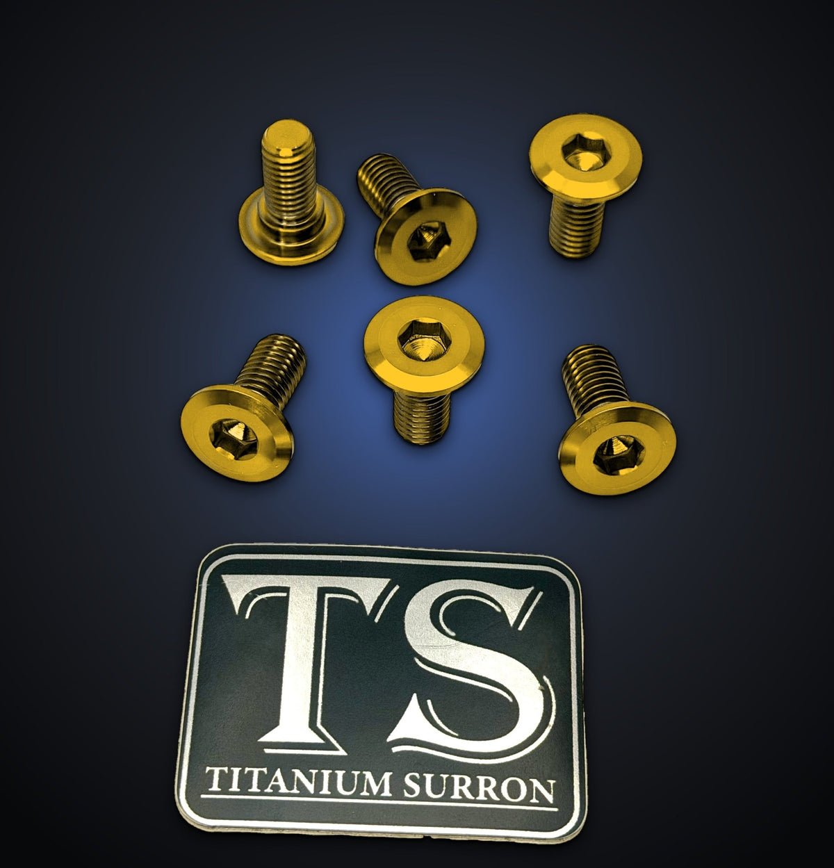 Titanium Rear Rotor Bolts for Yozma IN10