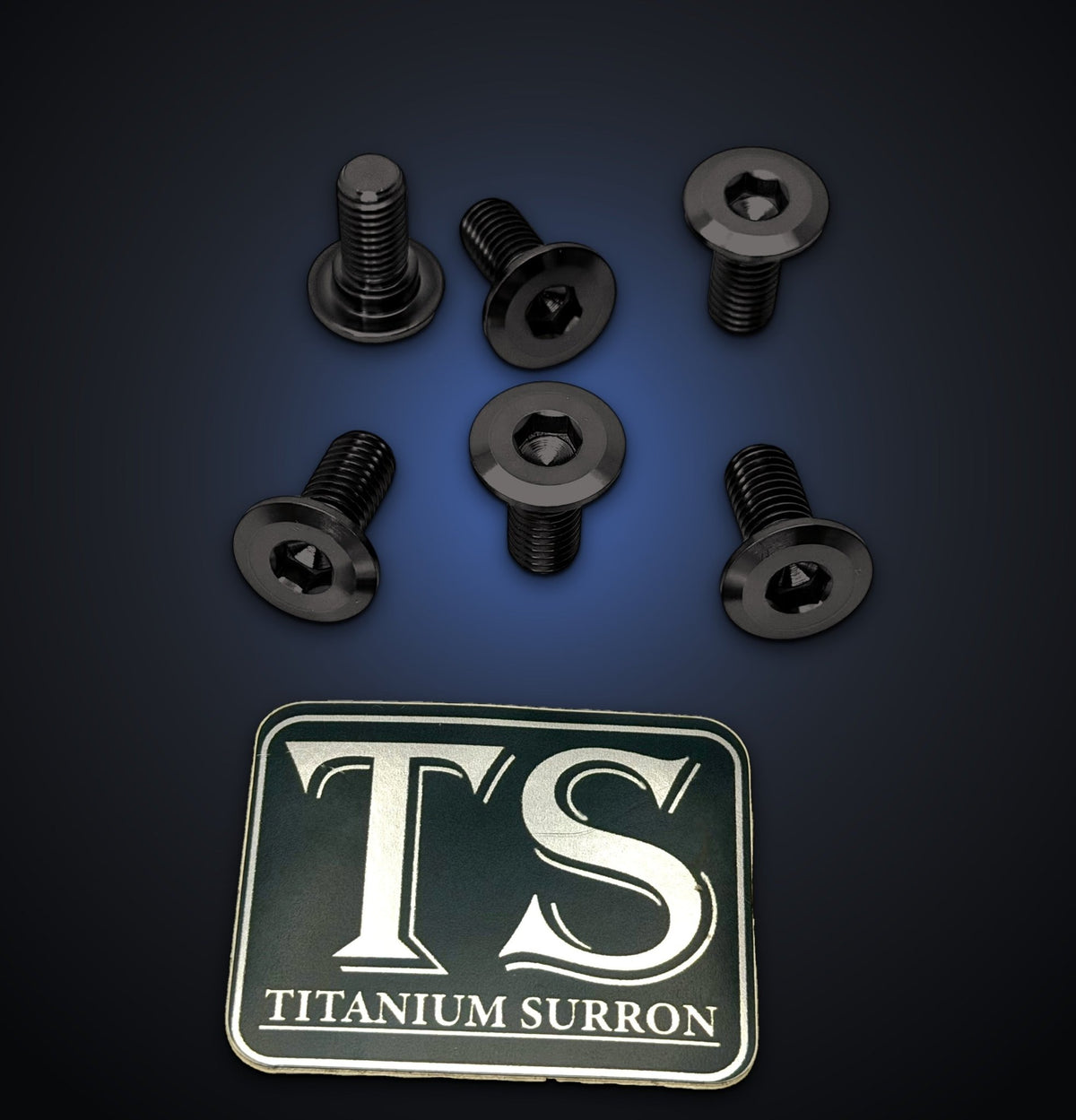 Titanium Rear Rotor Bolts for Yozma IN10