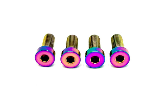 Titanium Seat/ Subframe Bolts for E - Ride Pro