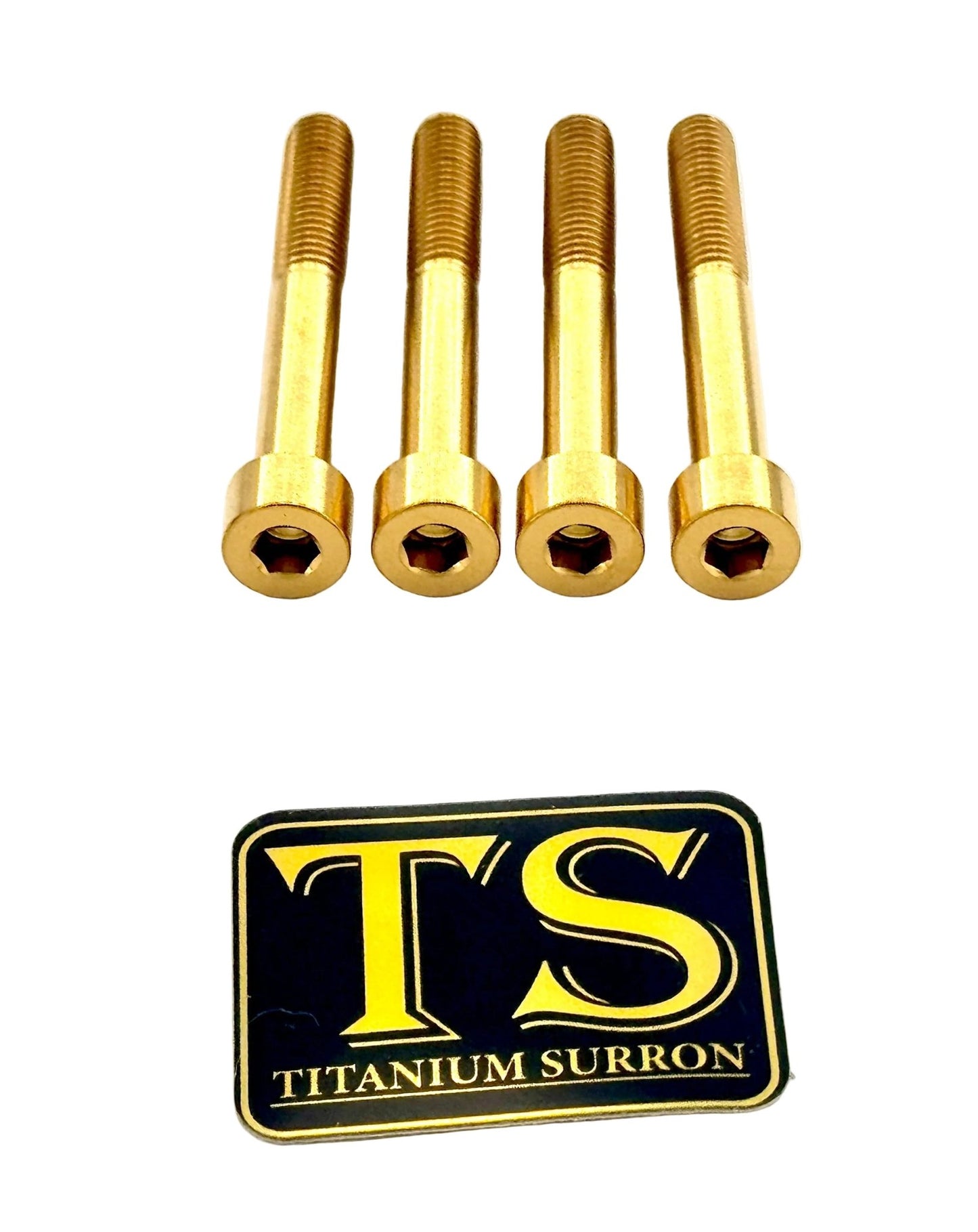 Titanium Stem/ Handlebar Mount Bolts - E - moto