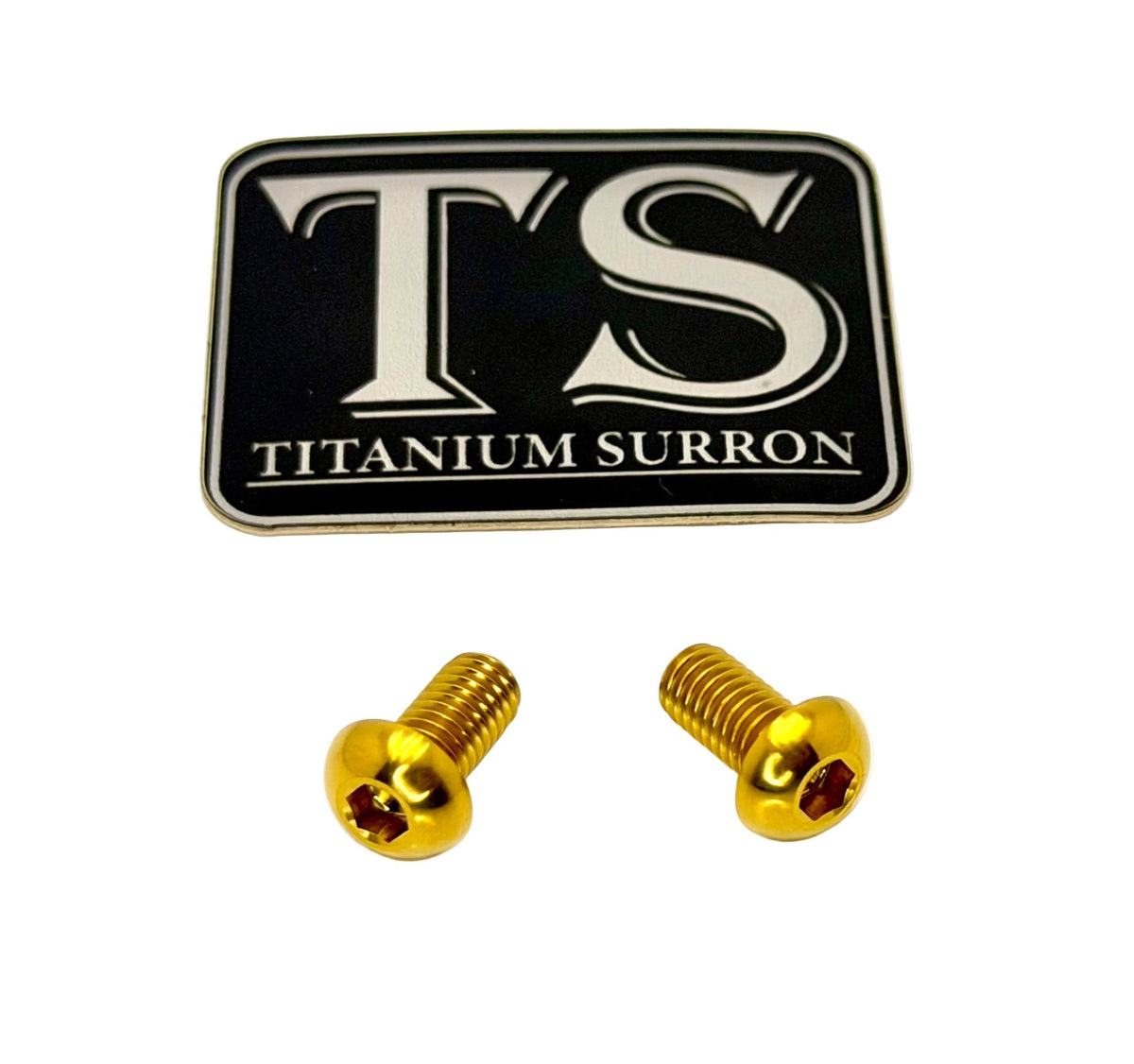 Titanium Surron LBX M6 Ignition Cover Bolts