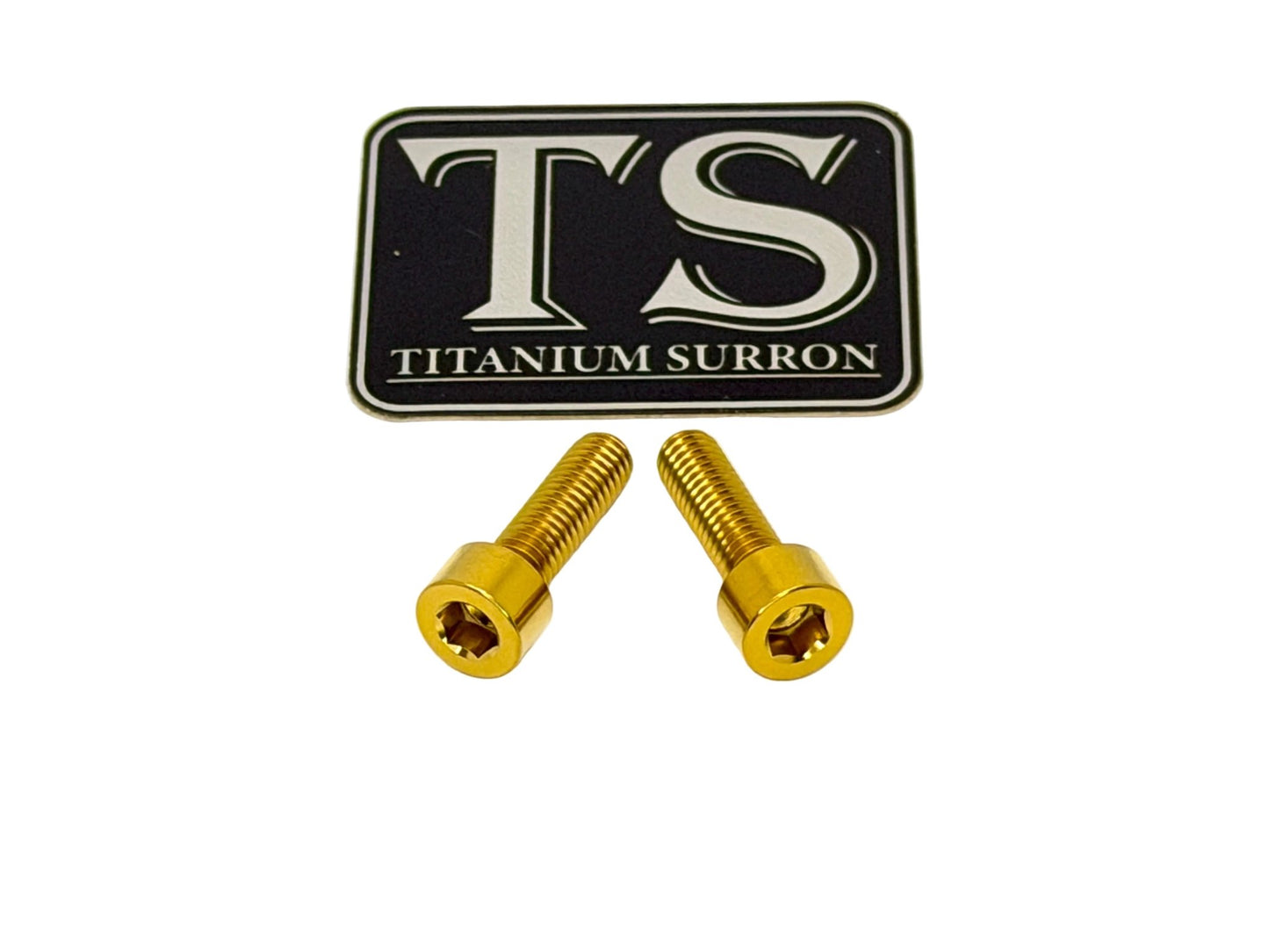 Titanium Surron Ultra Bee Headlight Bracket bolts by Prickly for Baja Squadron