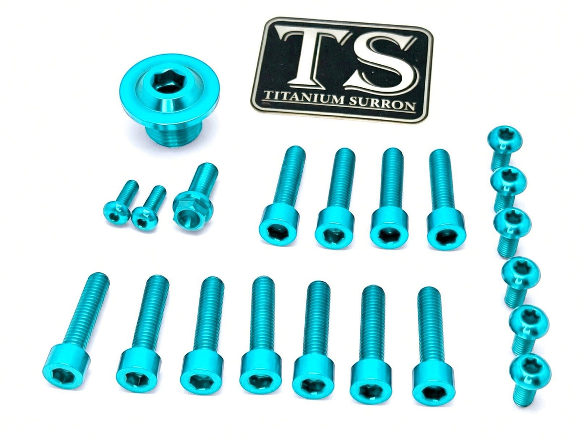 Titanium Surron Ultra Bee OEM Fork Bolt Kit