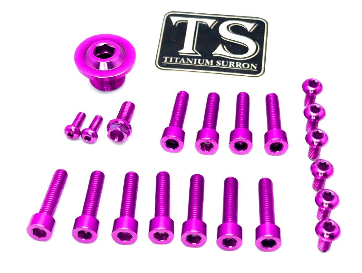 Suspension and Hardware for Ultra bee – Titanium Surron
