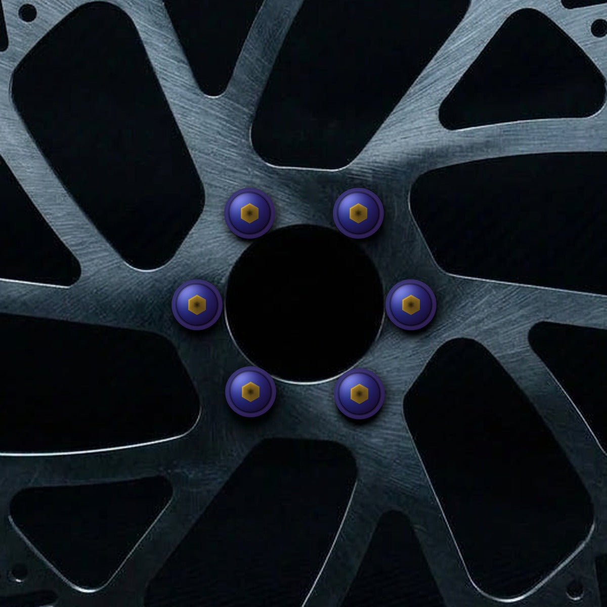 Ultra Bee 240mm rotor with Burnt Blue titanium rotor bolts installed