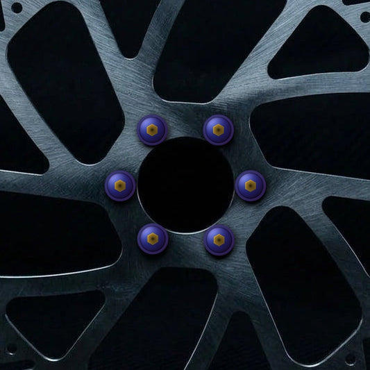 Ultra Bee 240mm Rotor + Titanium Rotor Bolts Bundle | Surron LBX
