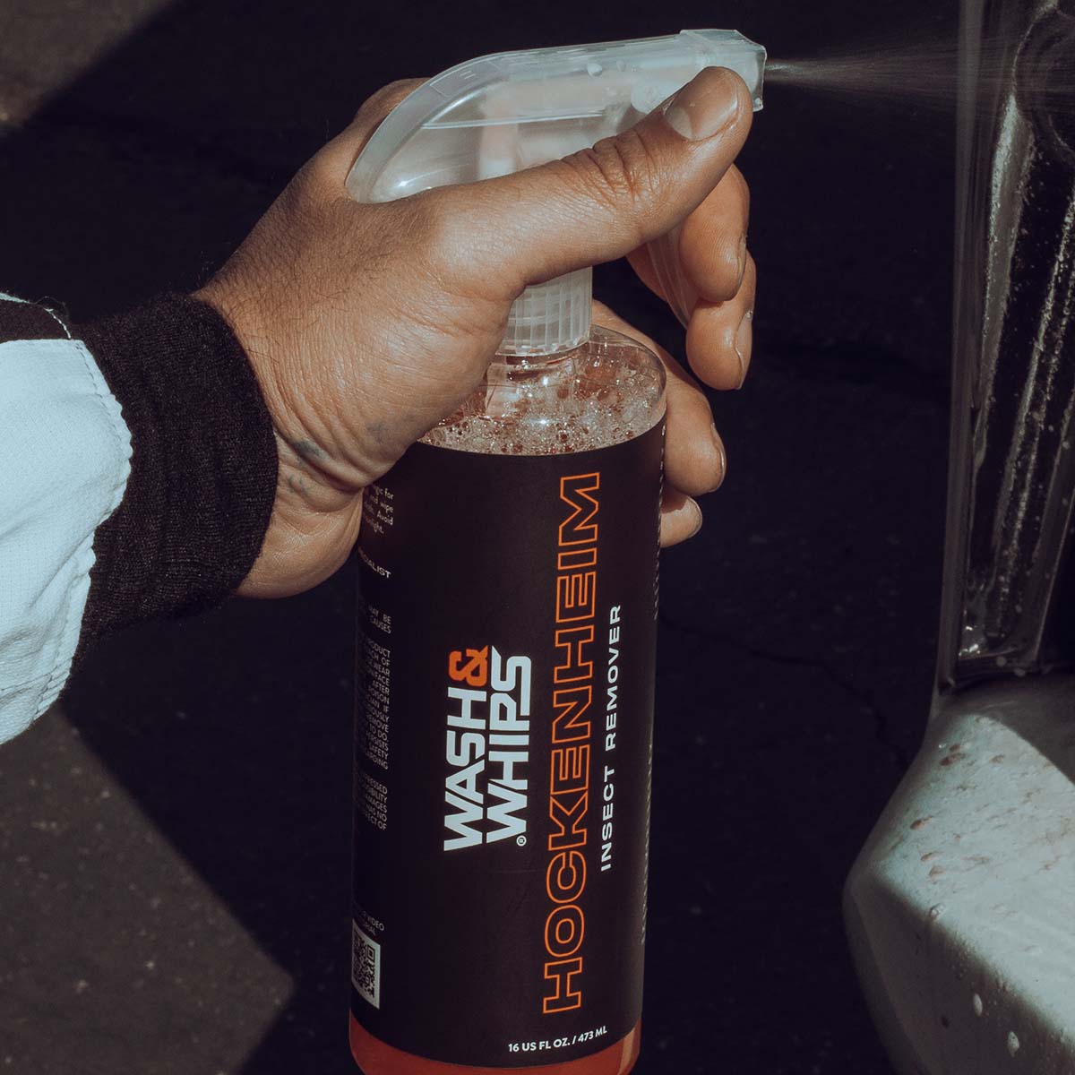 WASH&WHIPS Hockenheim Insect & Bug Removal