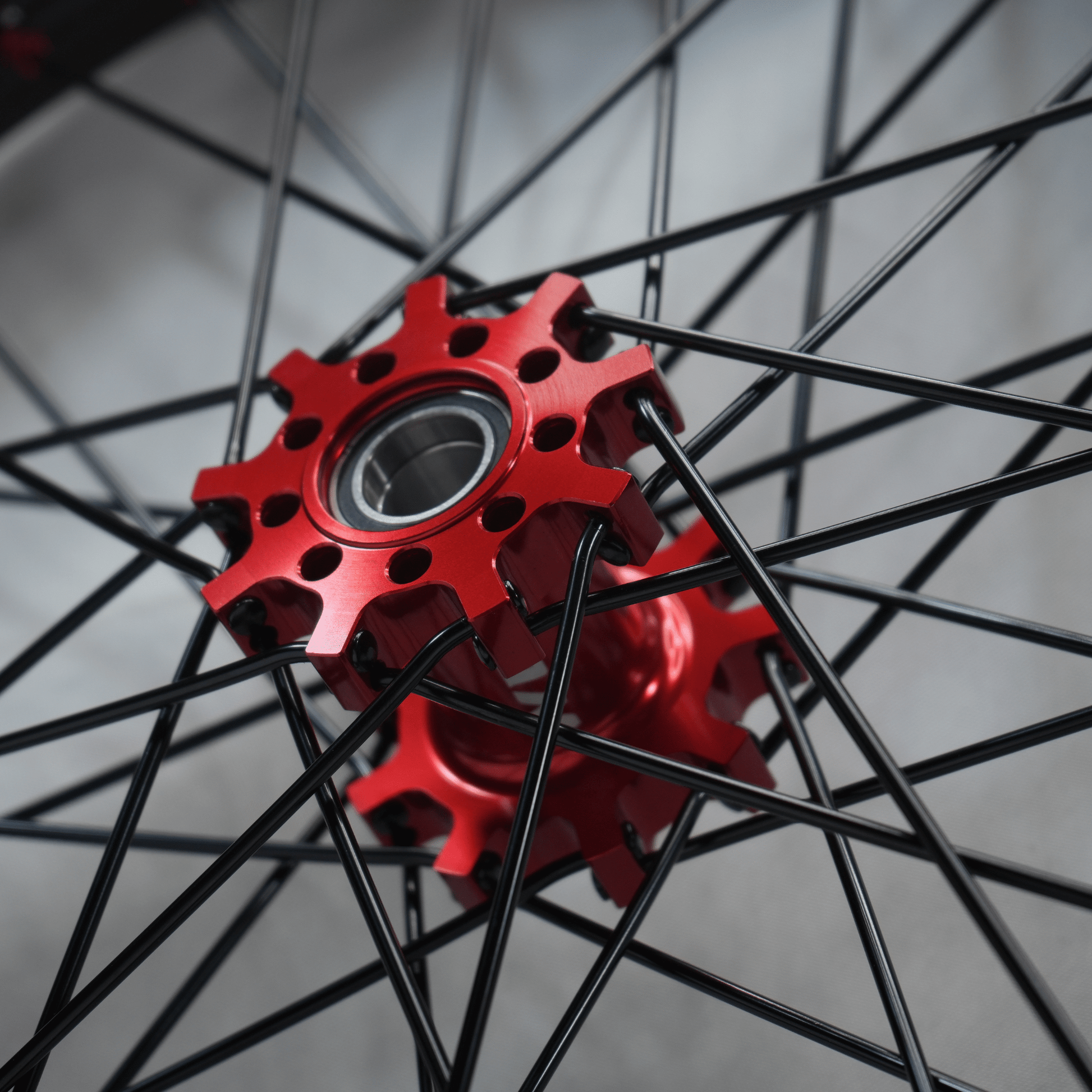 WGT Splattered V2 19x16 Wheel Set